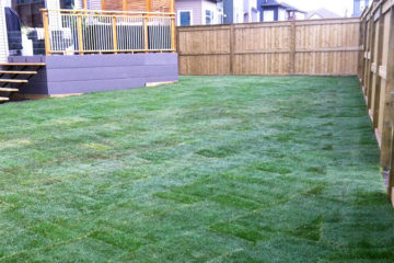 Yard with freshly installed green grass