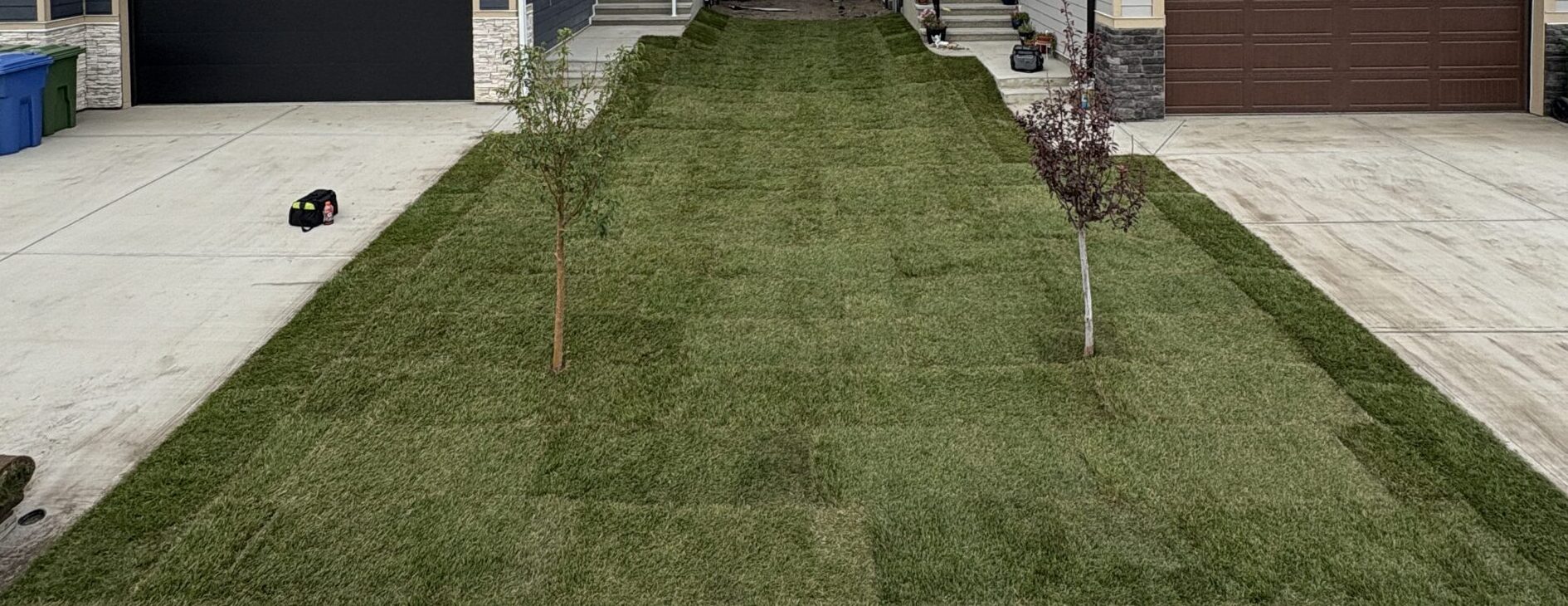 New home sod installation